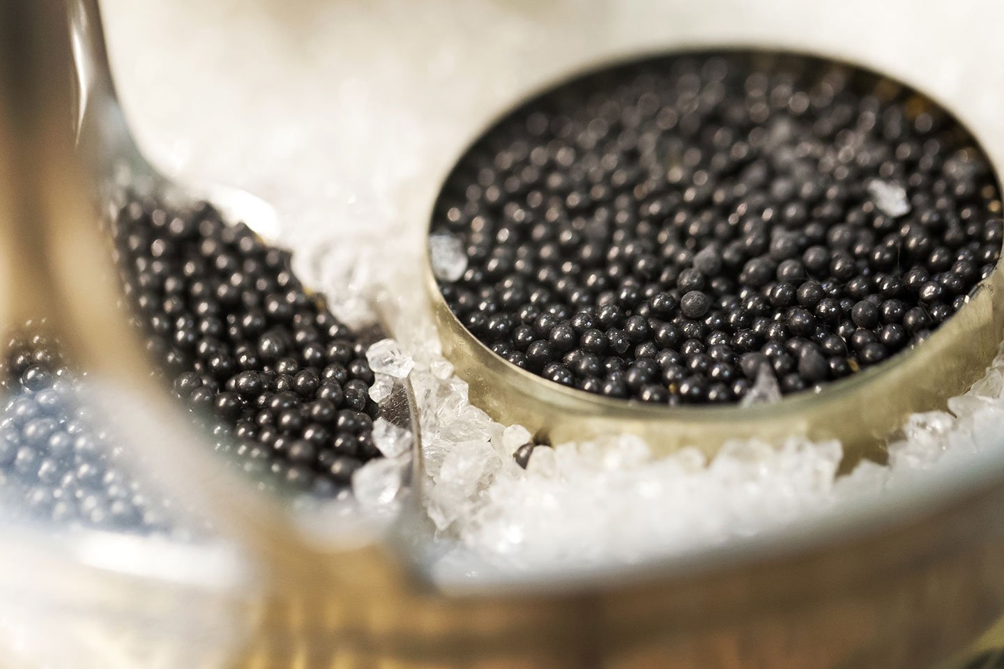 Tout Ce Que Vous Devez Savoir Sur Le Caviar tout-ce-que-vous-devez-savoir-sur-le-caviar